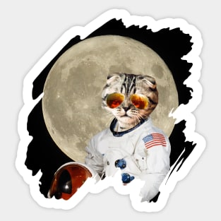 Astronautical Domestic Cat Sticker